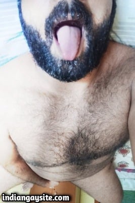 Hairy naked bear shows sexy furry body