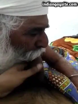 Horny gay daddy video of sardar sucking big cock